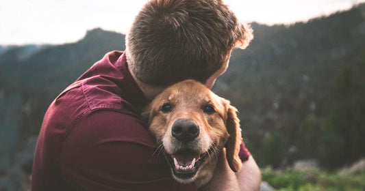 Pets Helping Vets