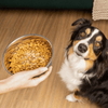 Upgrade Every Meal Without Changing Their Diet