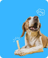 Soft Rawhide Chews