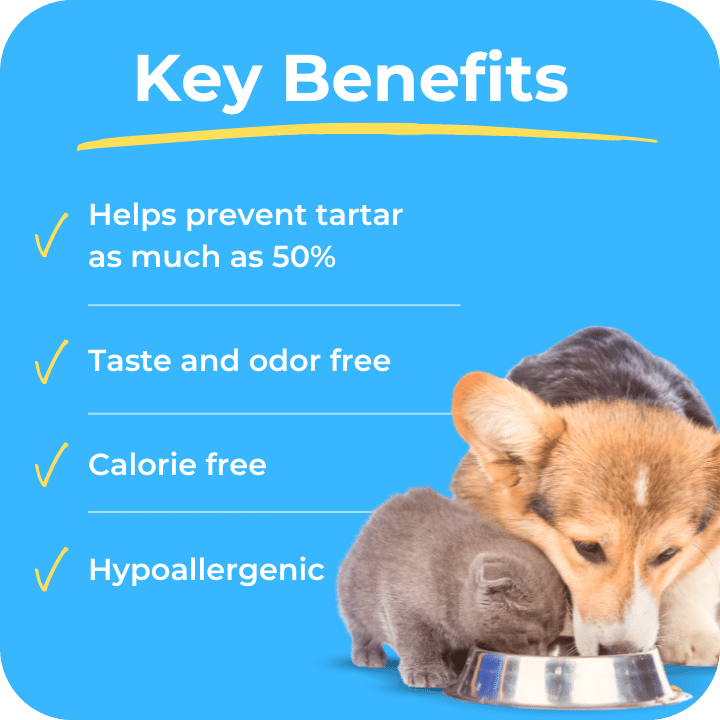 Tartar Shield® DentaTabs (3-month supply)