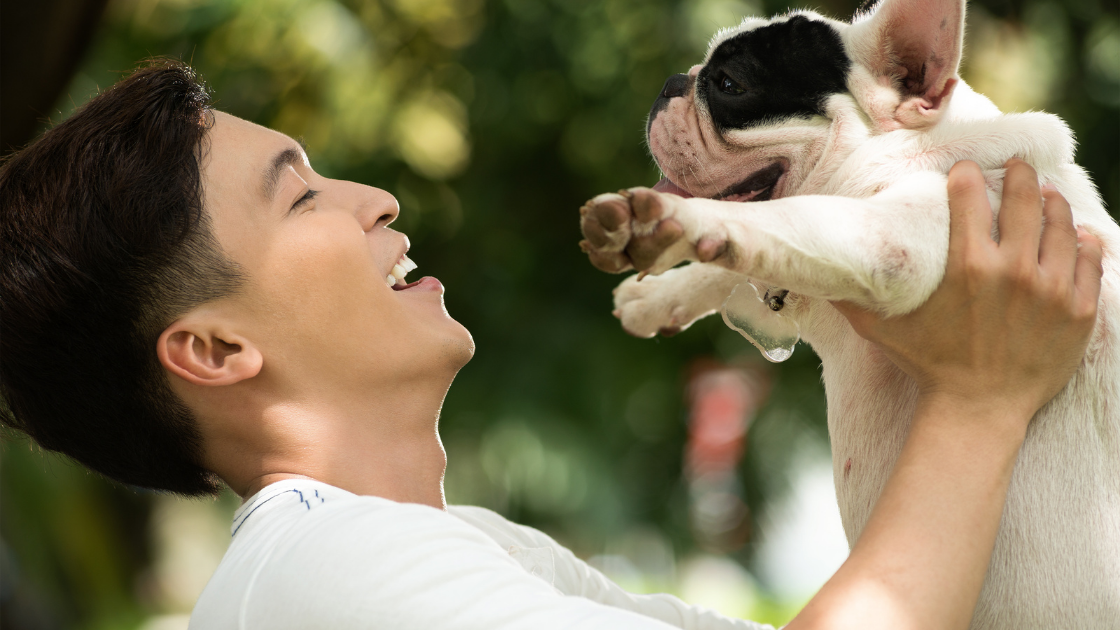 Simple ways humans and pets create Happiness