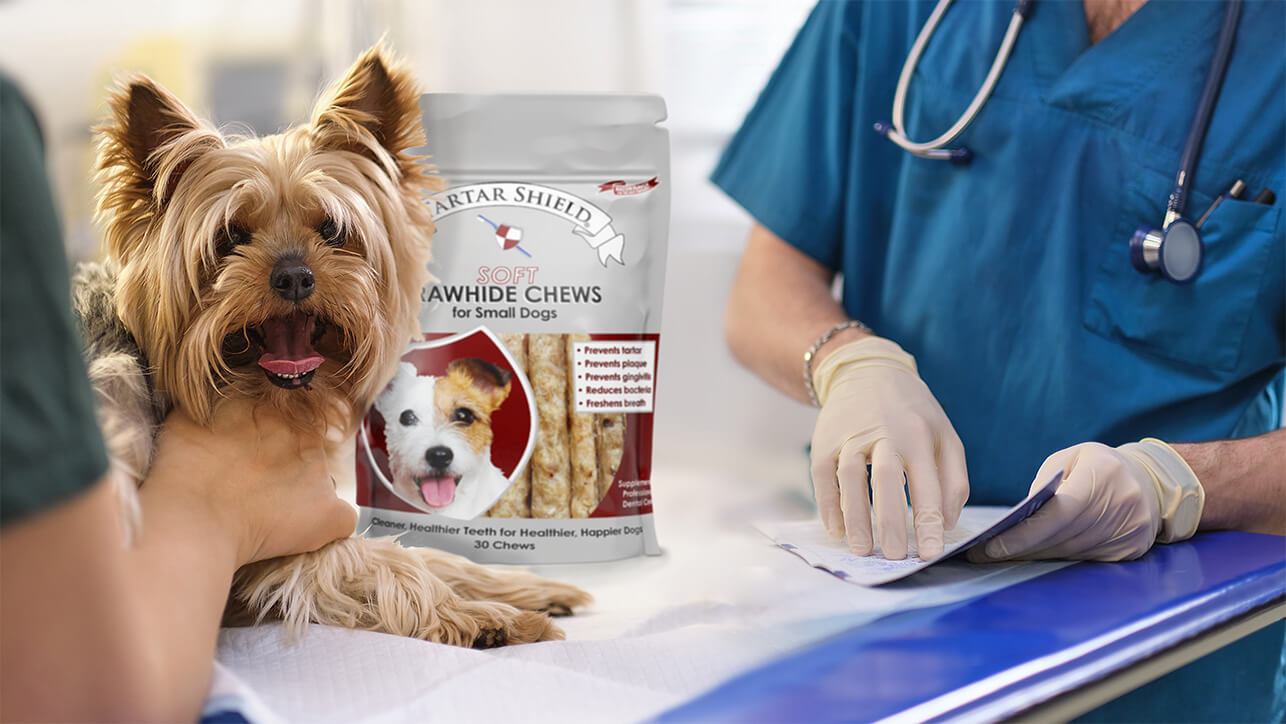 National Pet Dental Health Month 2025