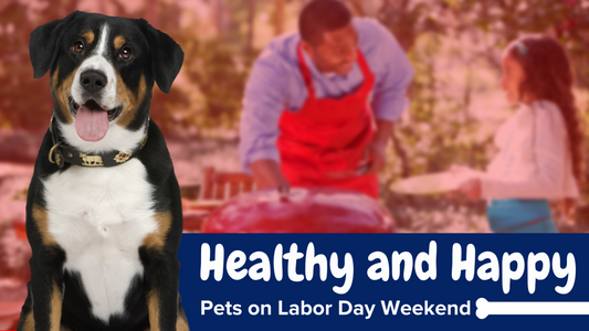 Healthy and Happy Pets on Labor Day Weekend