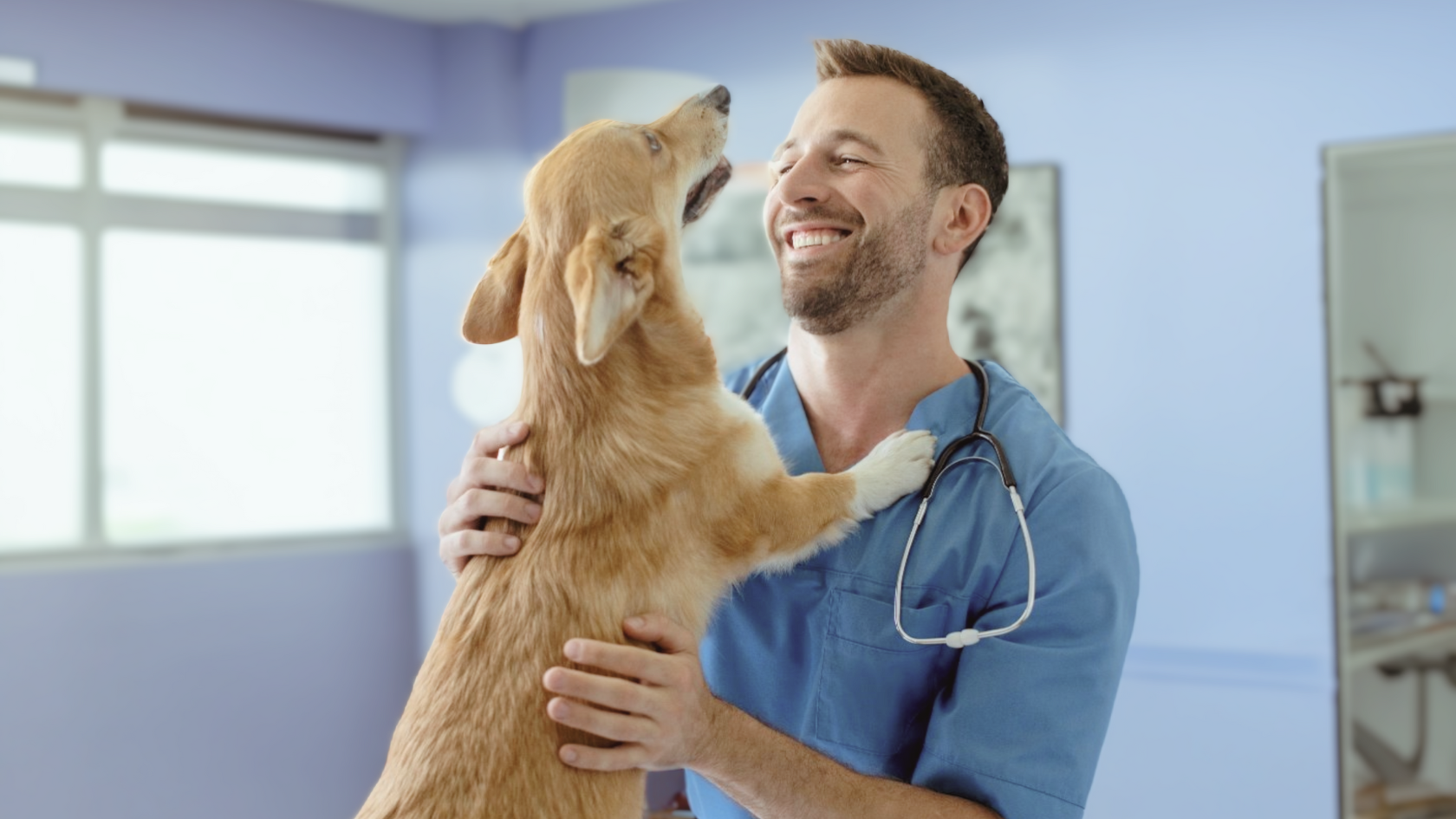 https://www.tartarshield.com/cdn/shop/articles/October_is_National_Pet_Wellness_Month_6_Ways_to_Provide_the_Best_Care_for_Your_Pet.png?v=1695737245