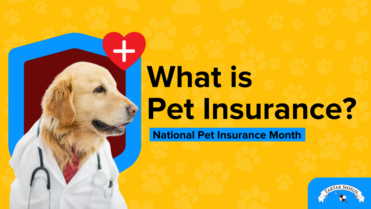 What is Pet Insurance Month Tartar Shield