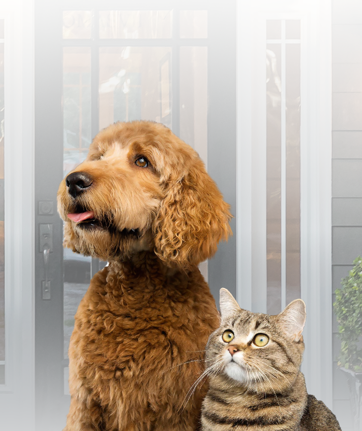 Shop Dog Dental Care Tartar Shield VOHC Products Shop dog dental care tartar shield vohc products