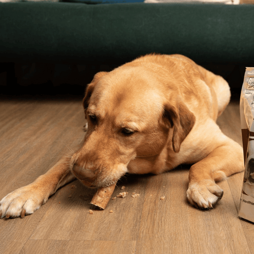 Tartar Shield® Soft Rawhide Chews for Extra Large Dogs (12 count)