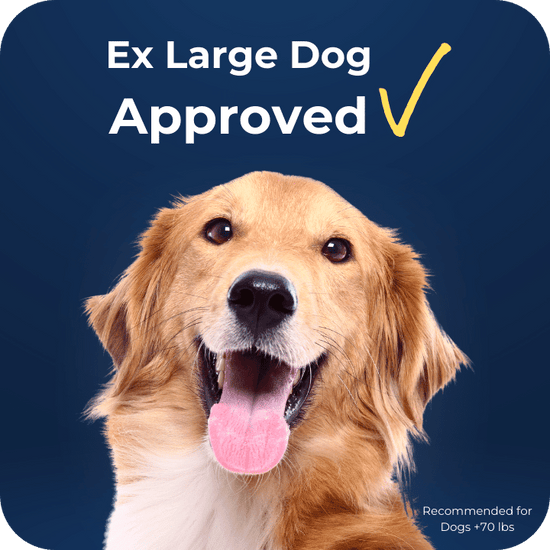 Tartar Shield® Soft Rawhide Chews for Extra Large Dogs (12 count)